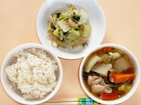 鶏肉と大根のスープ煮ともやし・白菜の和え物とごはん