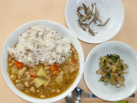 豆カレーと白菜・もやしのおかか和え