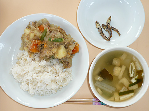 カレー肉じゃがと春大根・ニラの味噌汁とごはん