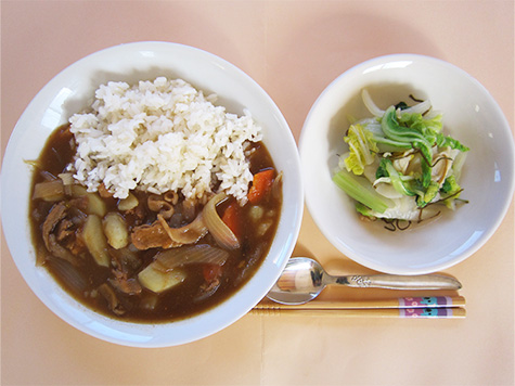 ハヤシライスと蕪・白菜のサラダ