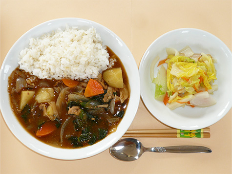 ハヤシライスと蕪・白菜のサラダ